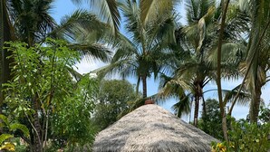 Un padiglione con tetto di paglia in un giardino tropicale, con un vialetto lastricato.