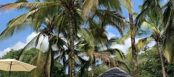 * Maison de repos * - La MariaCa