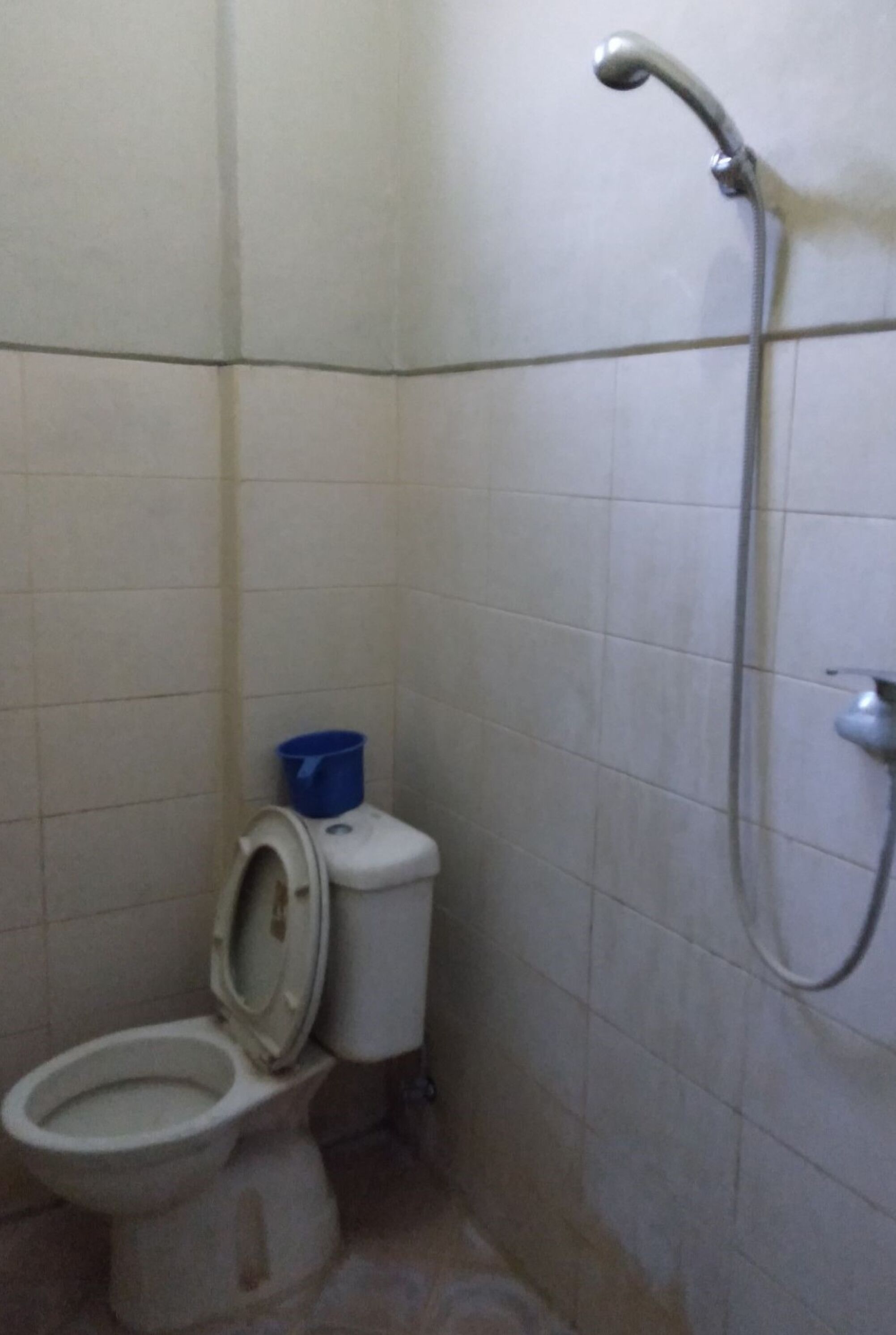 A small bathroom with a toilet, a blue bucket, and a shower.