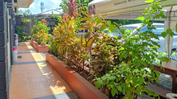 Terrace/patio - Seven Wells Guesthouse (Manado)