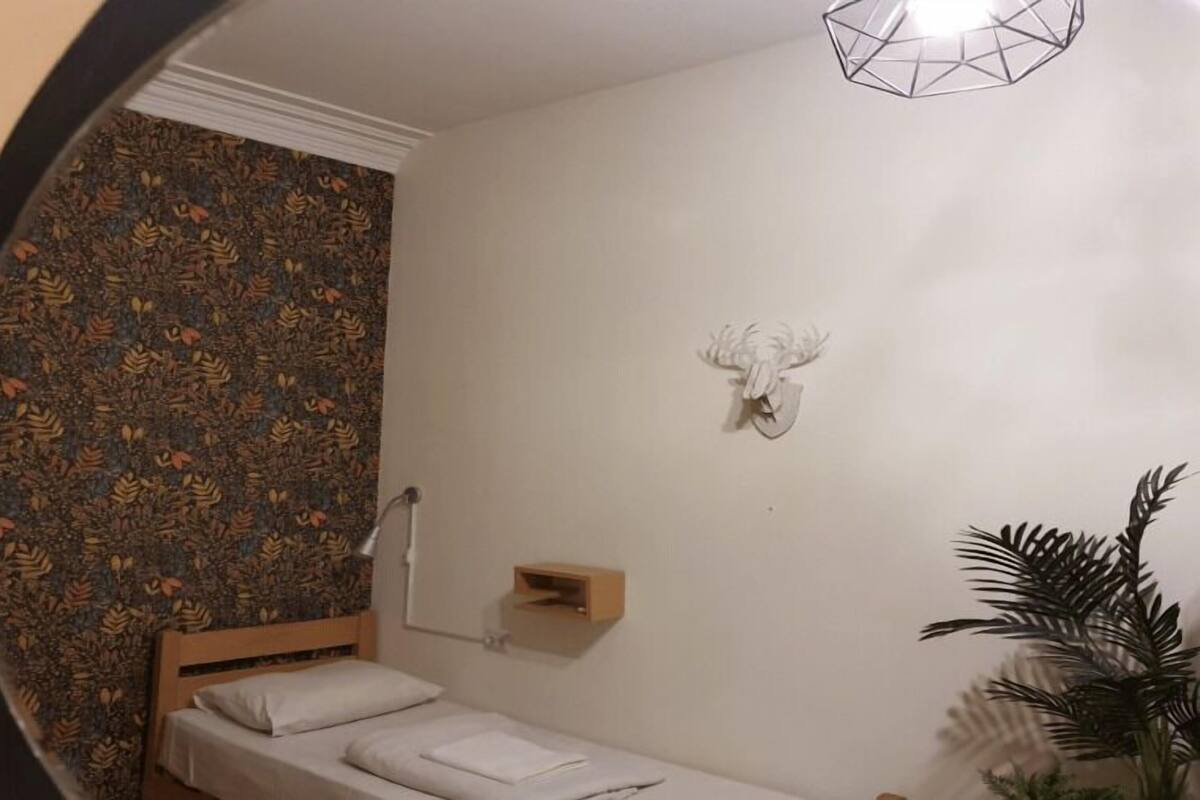 A small, single-bed room with a patterned wallpaper, a mounted animal head decoration, a bedside table, and a hanging light fixture.