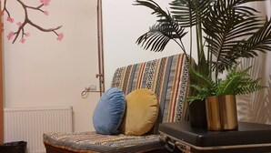 A chair with patterned upholstery, two cushions, a potted plant, and a radiator in a room with wooden flooring. - Envoy Hostel (Tbilisi)