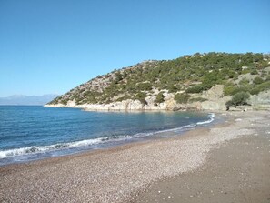 On the beach