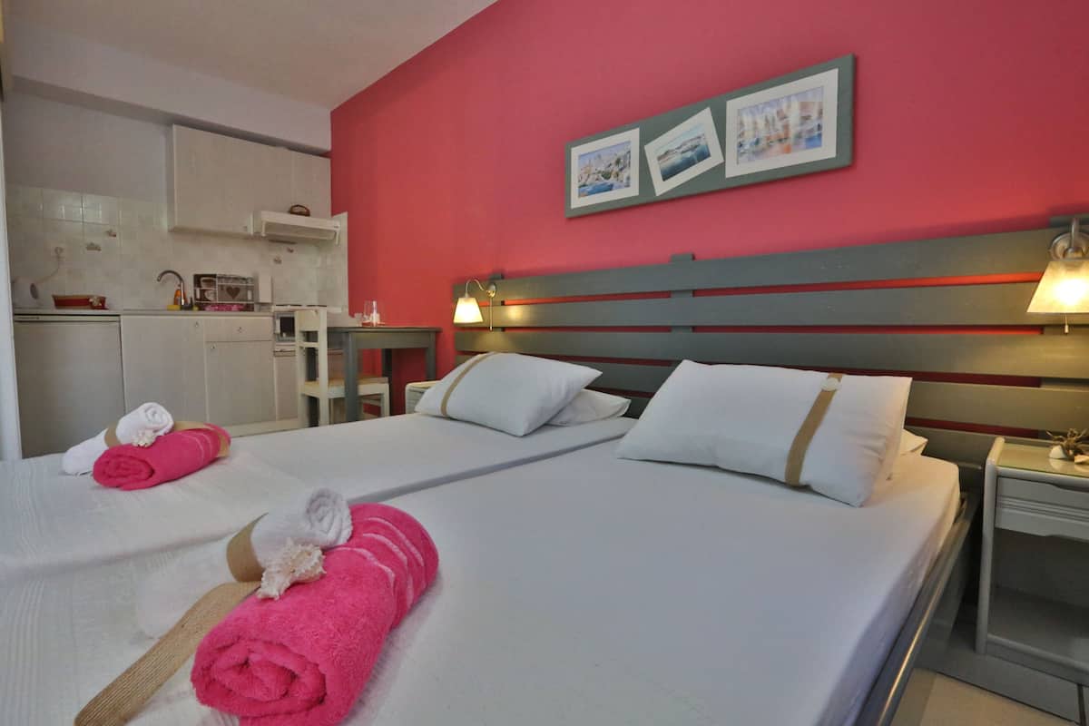 Deluxe Double or Twin Room | 1 bedroom, down duvets, soundproofing, iron/ironing board