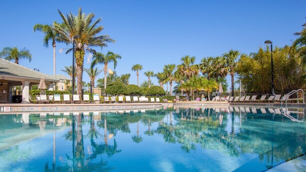 A clear swimming pool with lounge chairs and palm trees. - Vista Cay Resort Direct by Millenium Management (Orlando)