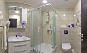 Een moderne badkamer met een douche met glazen wand, een witte wastafel, een toilet en een spiegel boven de wastafel.