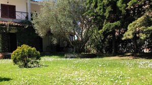Um jardim com flores brancas, uma árvore pequena e um edifício com varanda.