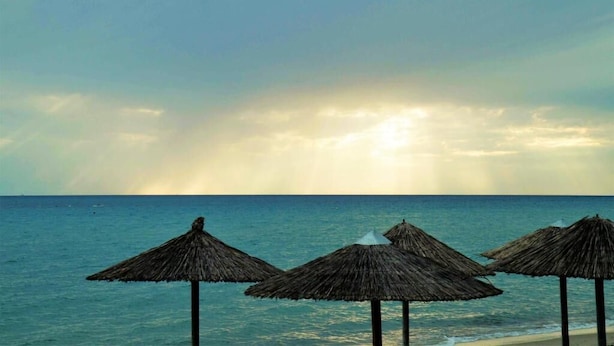 Uma praia com guarda-sóis de palha e mar calmo.