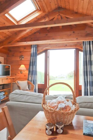 Fernseher, Arbeitsbereiche