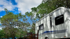 A silver RV with a blue stripe parked in a grassy area with trees in the background. - Big Game on Wheels - Wilpattu (Pahala Maragahawewa)