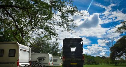 Big Game on Wheels - Wilpattu