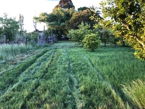 A grassy field with a fence and trees in the background. - 2 bedroom house in toledo (Toledo)