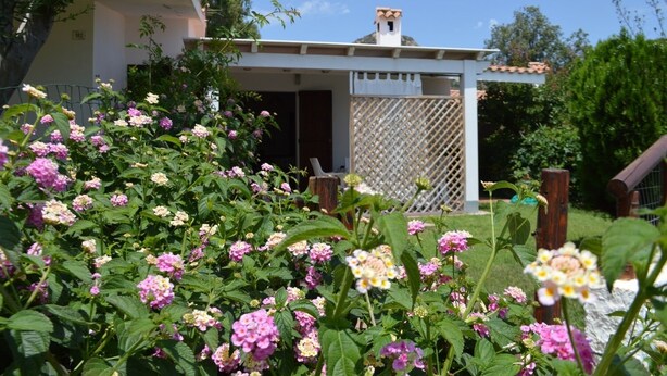 A house with a covered porch, surrounded by lush greenery and flowering plants. - THREE-ROOM APARTMENT BADAS Costa Rei Centro (Costa Rei)