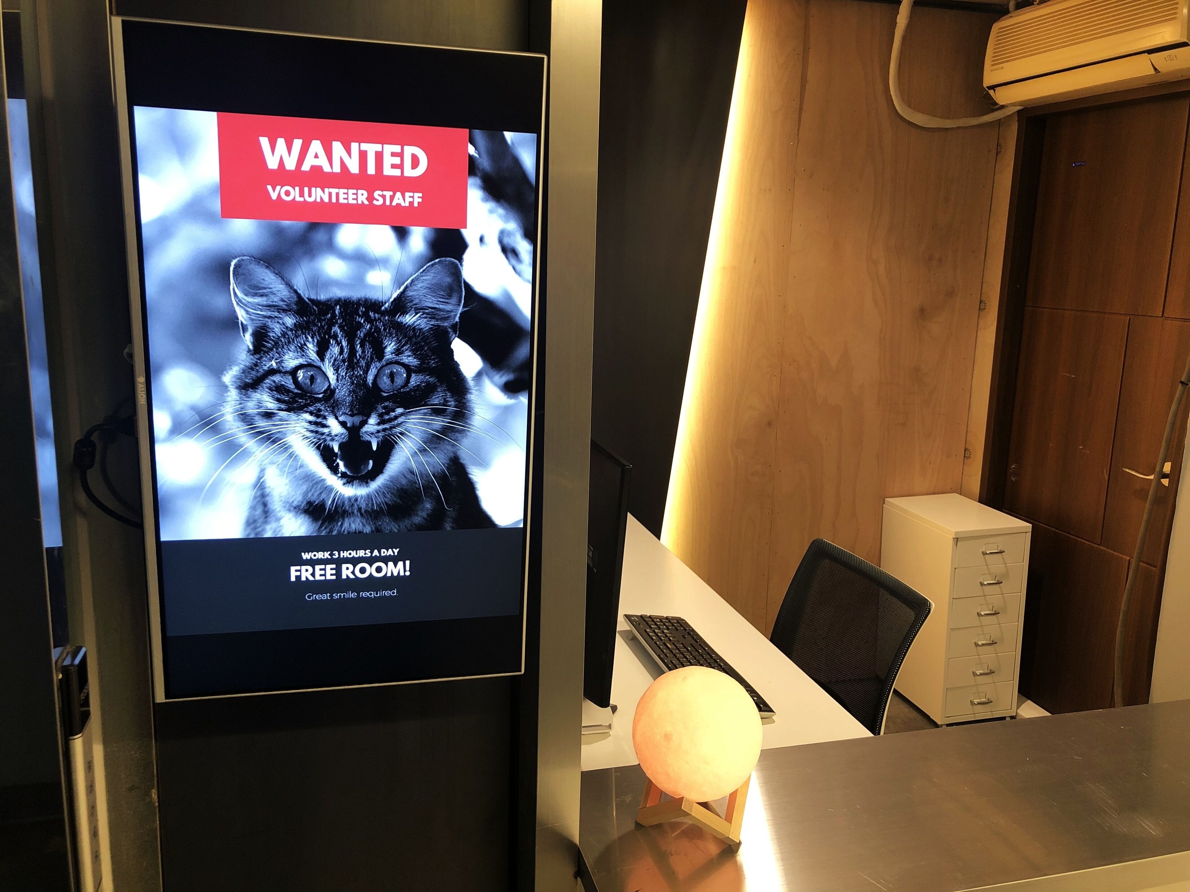 Foto - Apollo Guesthouse