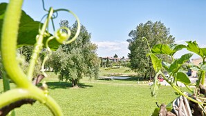A garden with green grass, trees, and a building in the background. - Appartamento le Campanelle (San Felice del Benaco)