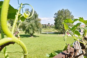 Garden - Appartamento le Campanelle (San Felice del Benaco)