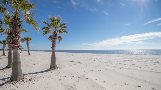 Een strand met palmbomen en een heldere lucht.