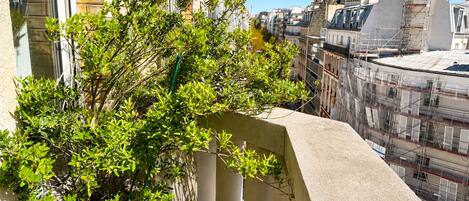 A balcony with potted plants, overlooking a cityscape with buildings and scaffolding.