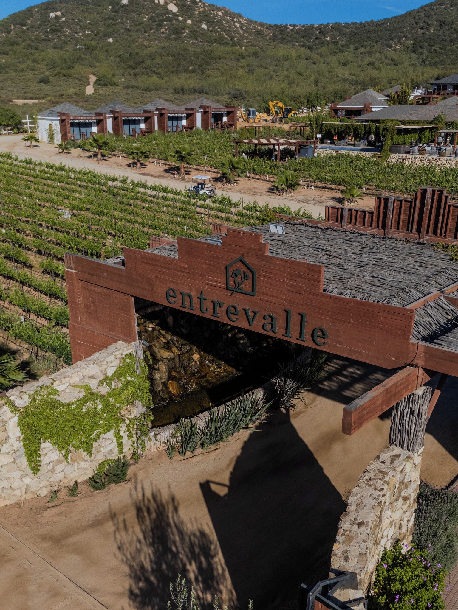 Viñedos con hileras de vides y un edificio con un cartel que dice 'entreville'.