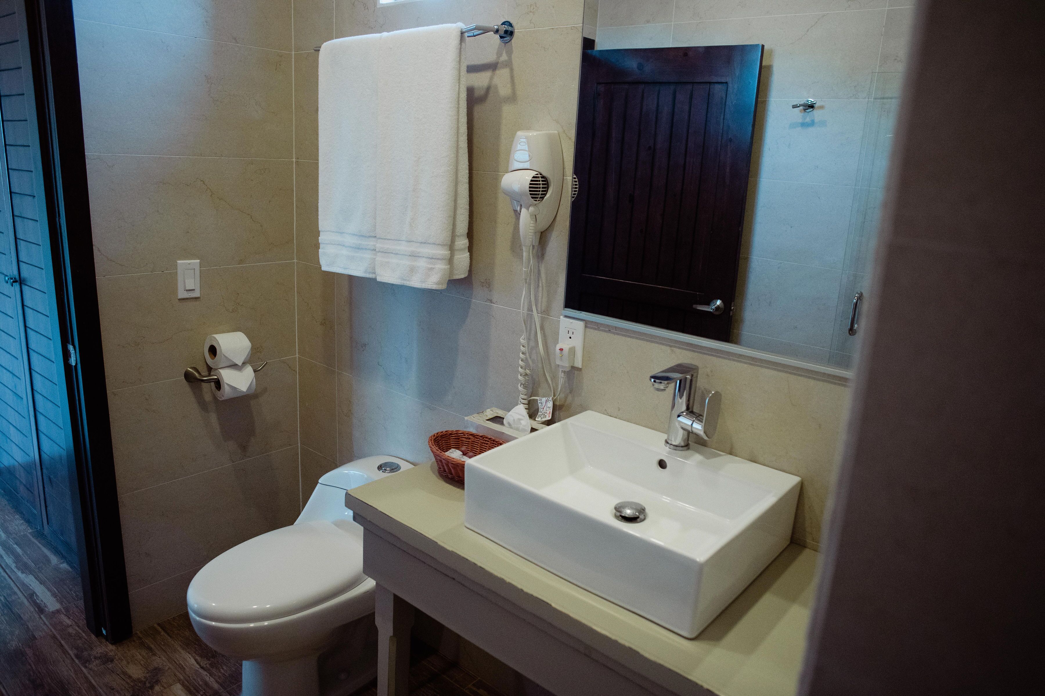 deluxe room | bathroom | shower, rainfall showerhead, hair dryer, towels