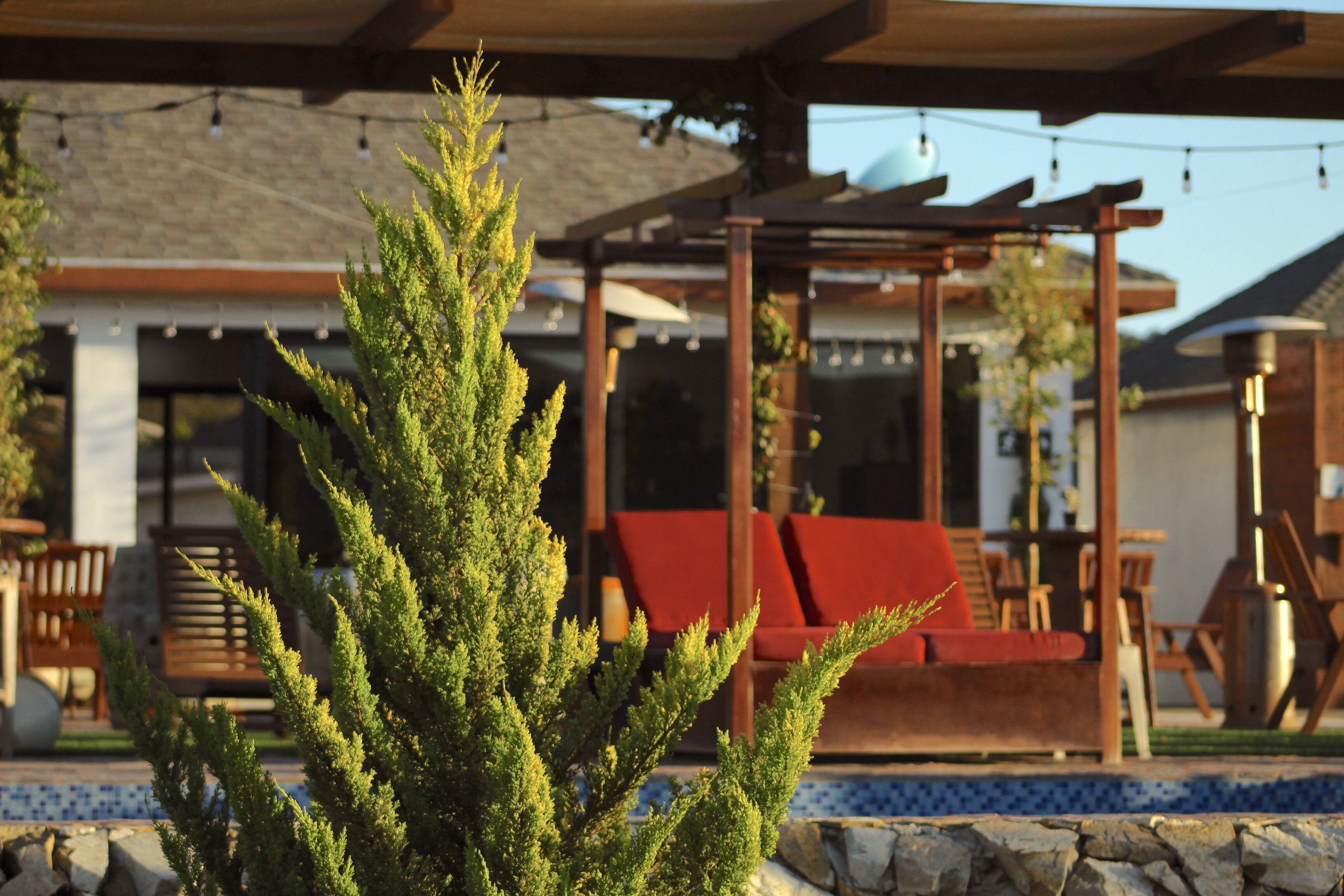 Ein Poolbereich mit einer Holz-Pergola, roten Liegestühlen und einem kleinen immergrünen Baum im Vordergrund.