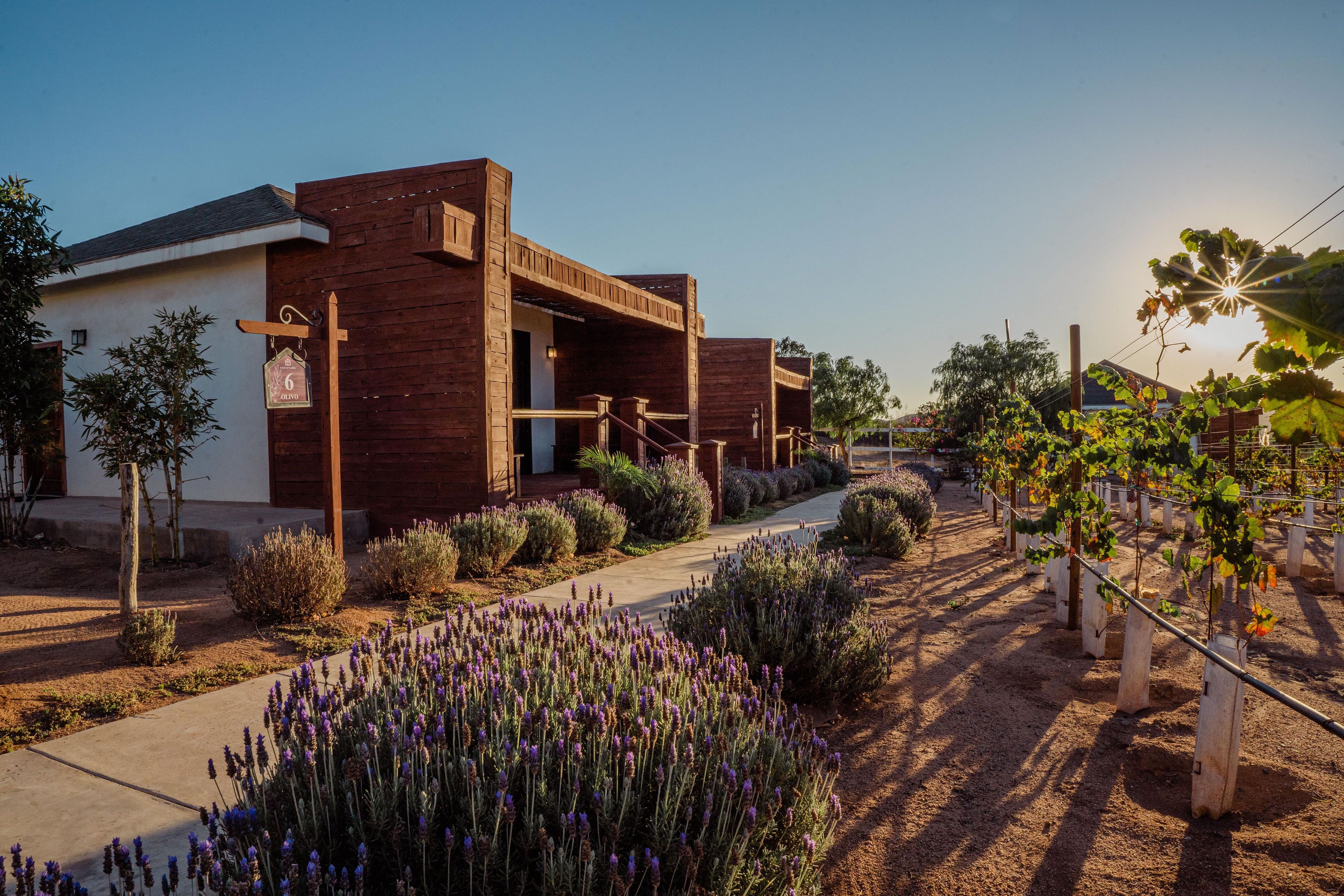 Un bâtiment moderne à l’extérieur en bois, doté d’un chemin pavé et d’un jardin où poussent des plants de lavande.