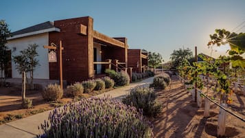 Un bâtiment moderne à l’extérieur en bois, doté d’un chemin pavé et d’un jardin où poussent des plants de lavande.