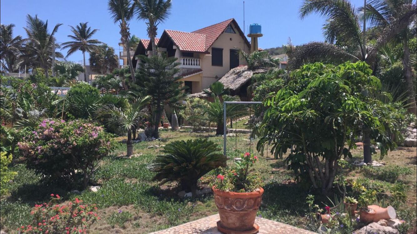 Une maison avec un toit rouge et un réservoir d’eau sur le toit, entourée d’une végétation tropicale et d’un jardin agrémenté de plantes en pot.