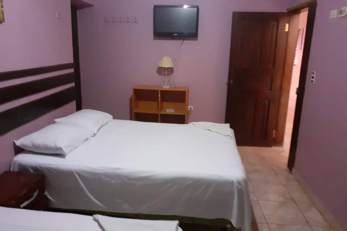 Double Room (1 cama matrimonial y cama individua) | Iron/ironing board, free WiFi, bed sheets