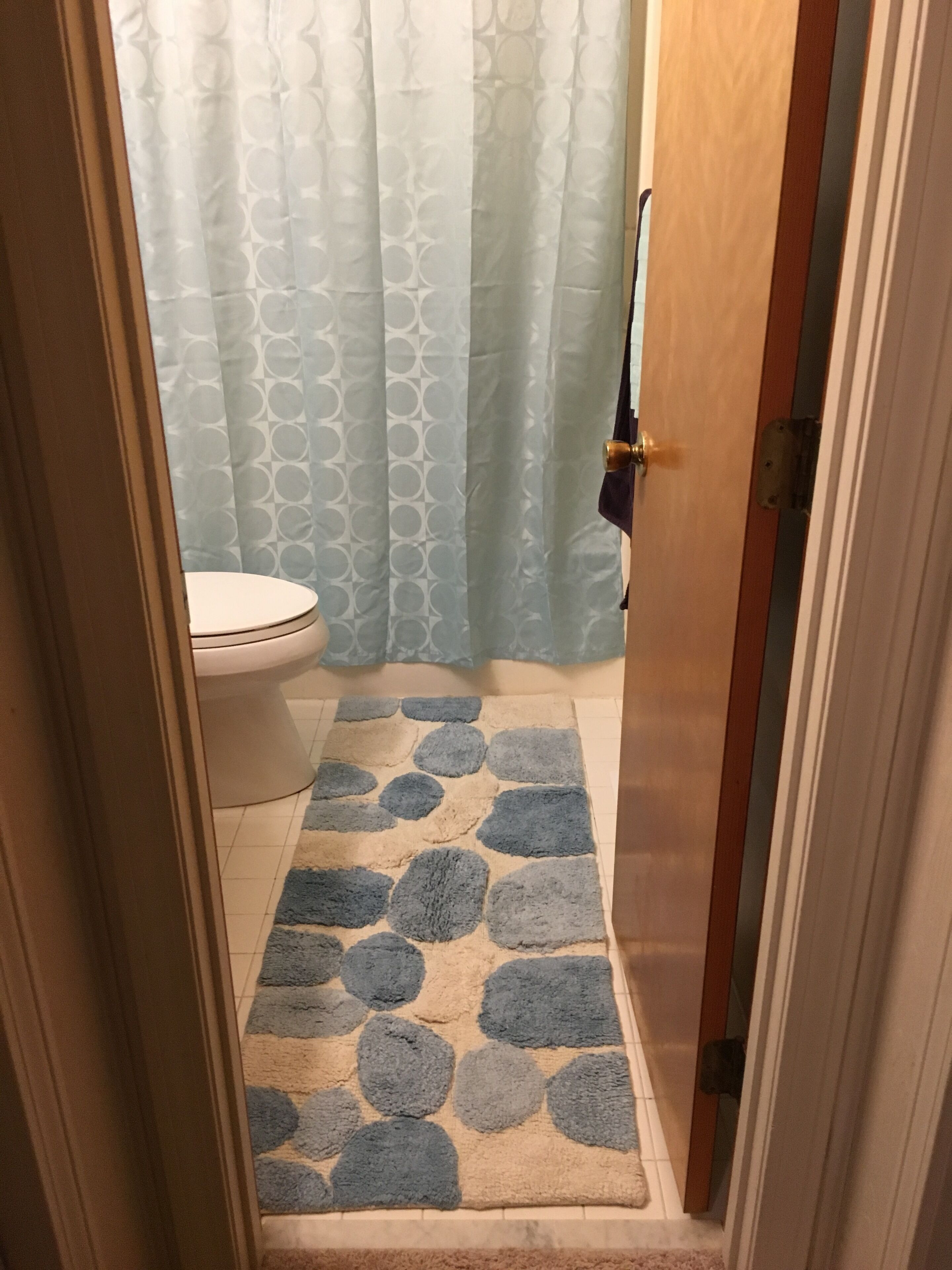 A bathroom with a toilet, a patterned shower curtain, and a blue and beige rug.