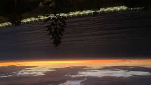 A sunset over a snowy landscape with a tree in the foreground. - MASSIVE 7 BEDROOM MALECON DUPLEX PENTHOUSE (Urb Santa Cruz)