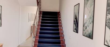 Un escalier recouvert d’une moquette sombre mène à un palier, lequel est bordé de murs blancs et agrémenté d’œuvres d’art encadrées.