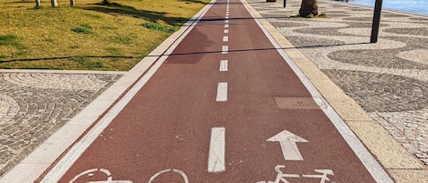A red bike lane with directional arrows and bicycle symbols, flanked by grass and palm trees, leading towards a bridge.
