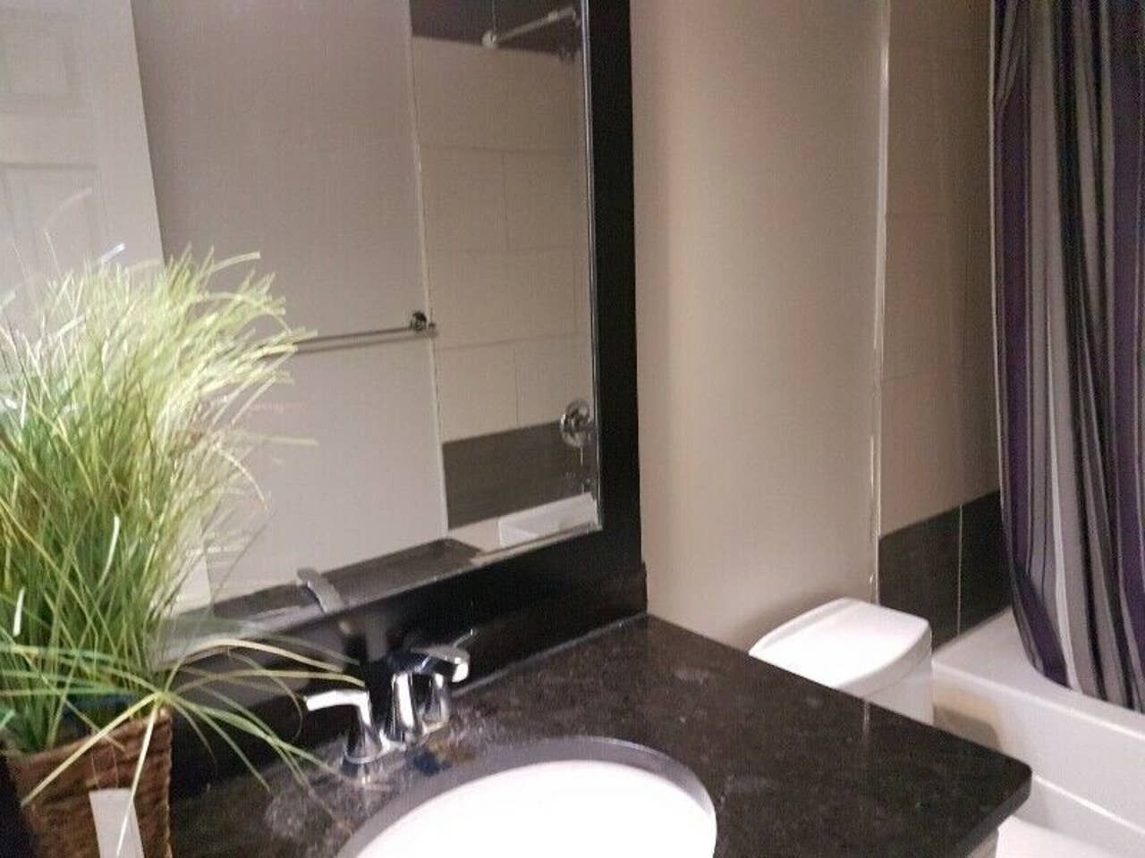 Un baño con encimera negra, lavamanos blanco, espejo, cortina de ducha y planta en maceta.