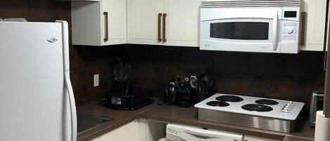 Fridge, stovetop, dishwasher