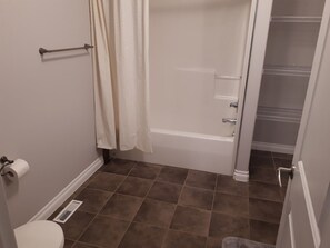 Shower, hair dryer