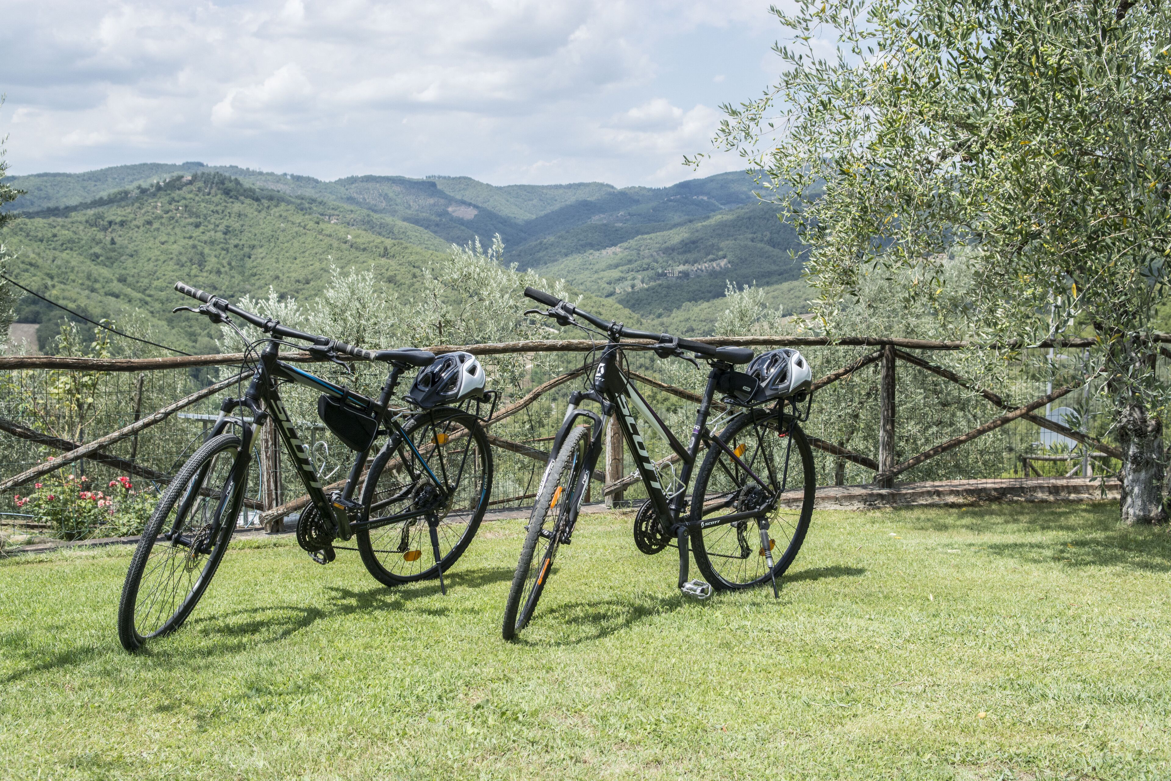 Two bicycles parked on a grassy area with a view of green hills in the background.
