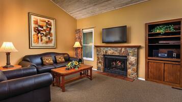 Télévision, cheminée, jeux vidéo, lecteur de DVD