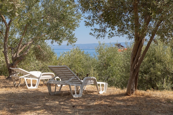 Apartment (Superior Three Bedroom Apartment) | Terrasse/Patio