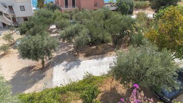 Apartment (Superior Three Bedroom Apartment) | Aerial view