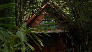 Uma cabana de madeira rústica cercada por folhagem densa.