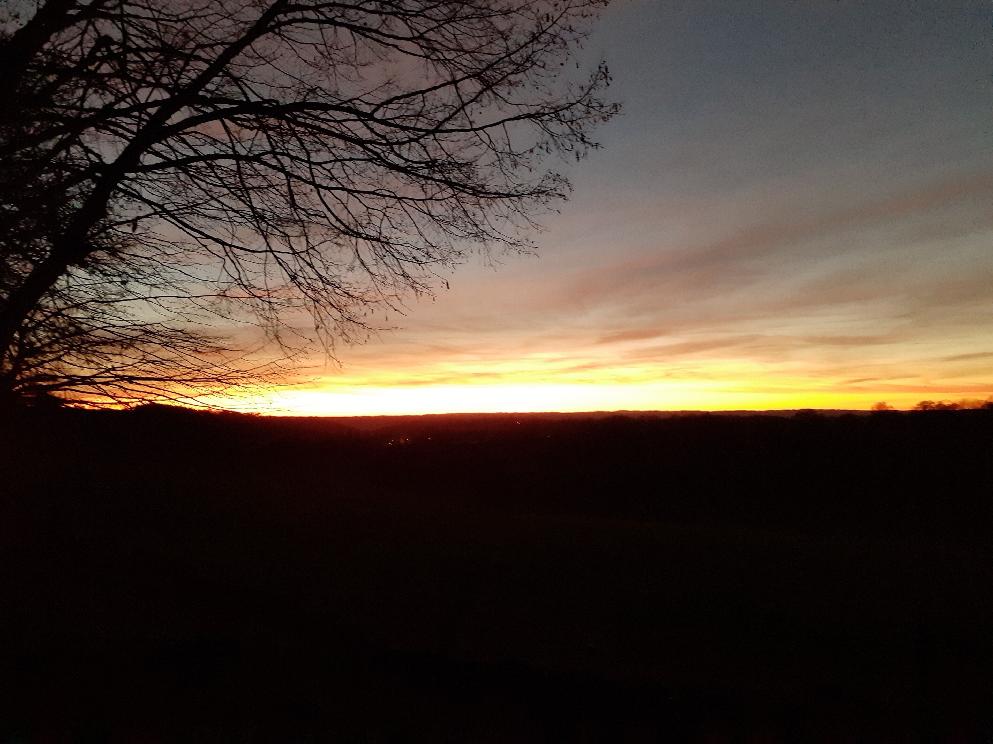 A sunset with silhouettes of trees and a flat horizon.