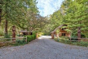 A gravel path leading to rustic cabins surrounded by dense trees.
