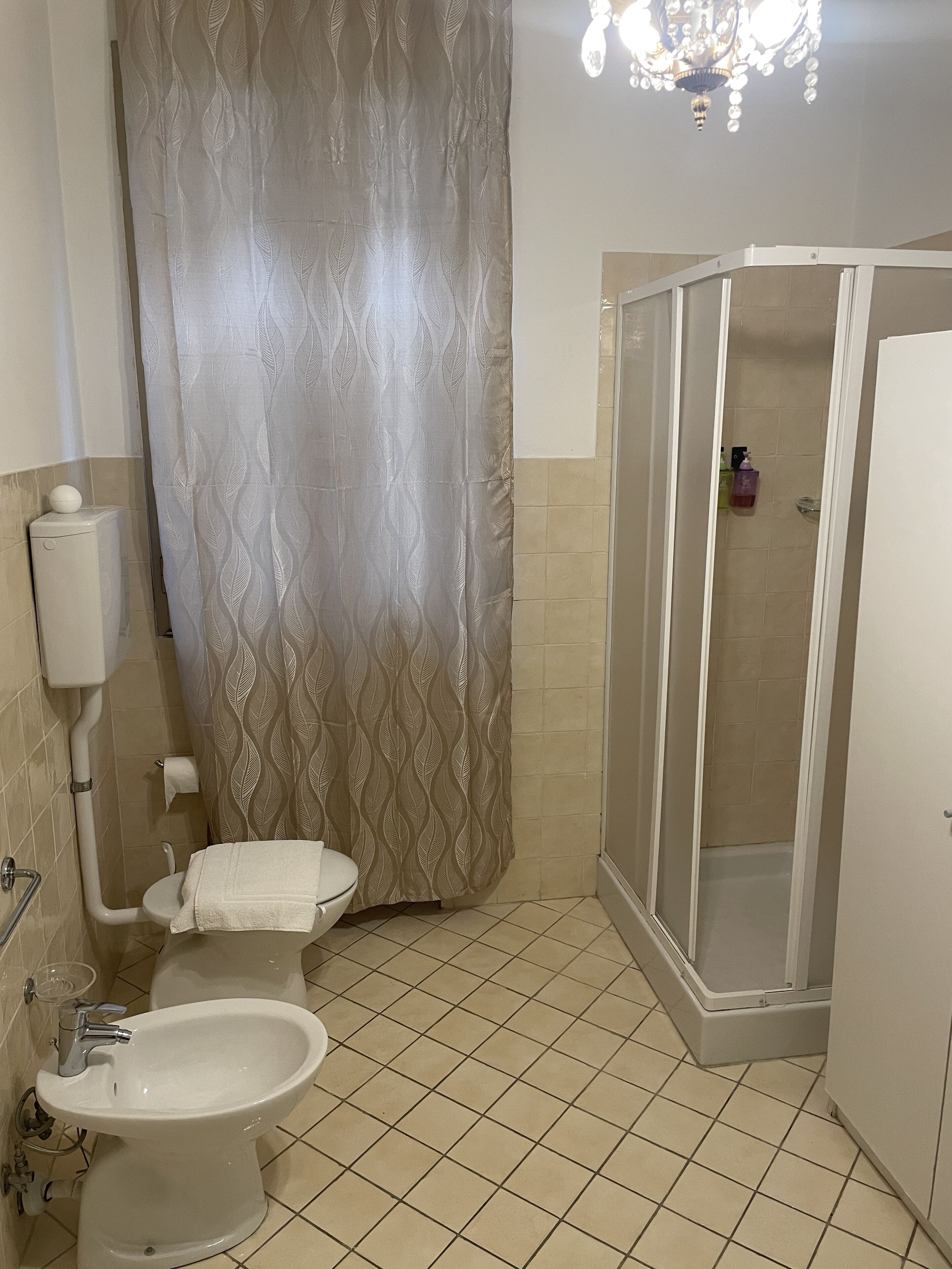 A bathroom with a toilet, bidet, and shower enclosure.