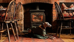 Una habitación acogedora con chimenea de ladrillo, un perro descansando sobre un tapete estampado y sillas de madera.