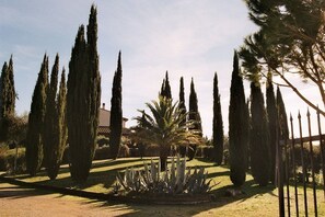 Property grounds - Tuscan dream on a hilltop + close to the sea - Grilli apartment (Grilli)