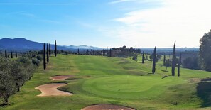 Golf - Tuscan dream on a hilltop + close to the sea - Grilli apartment (Grilli)