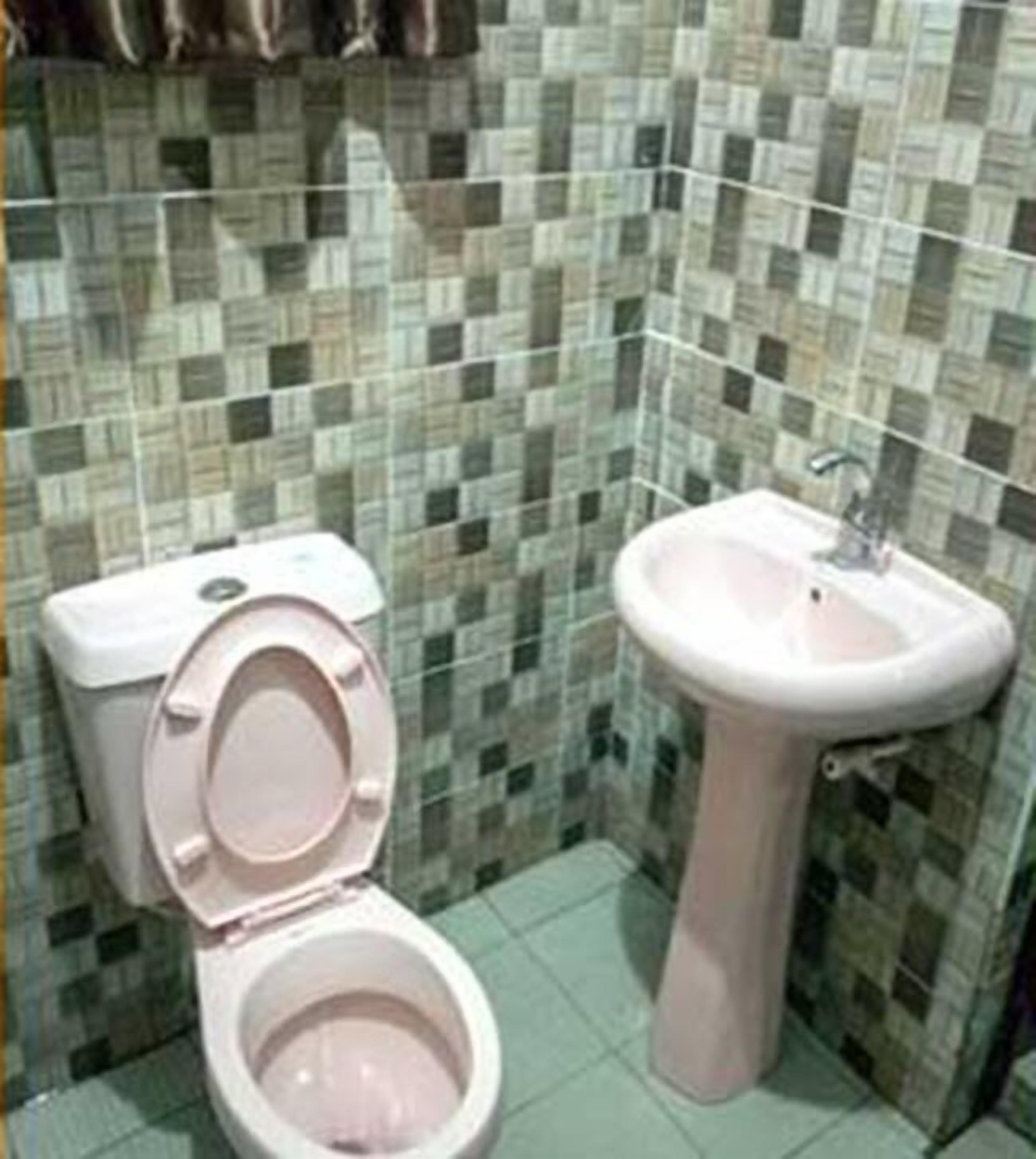 A bathroom with a toilet and a sink.