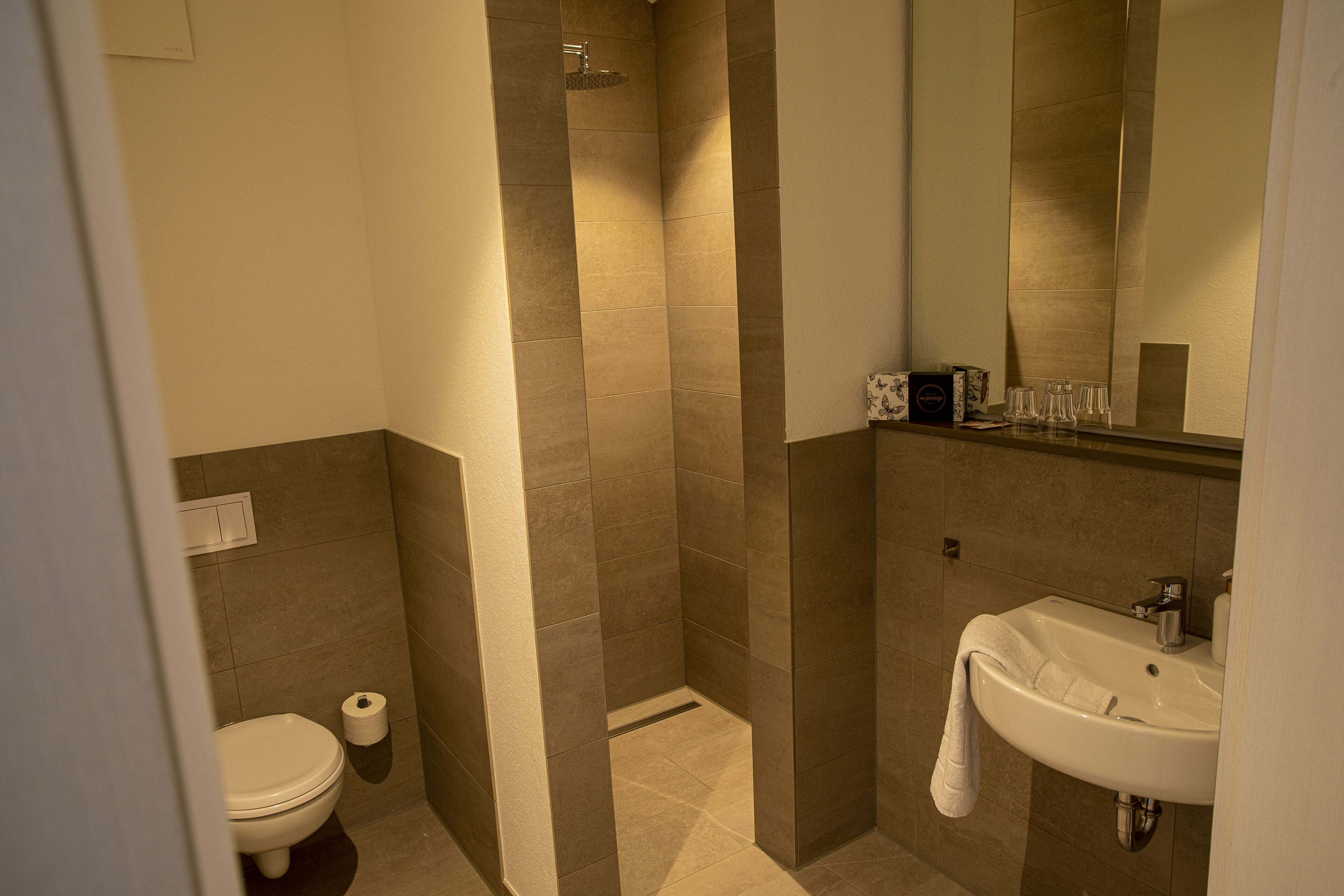 Une salle de bain avec des toilettes, une douche et un lavabo.