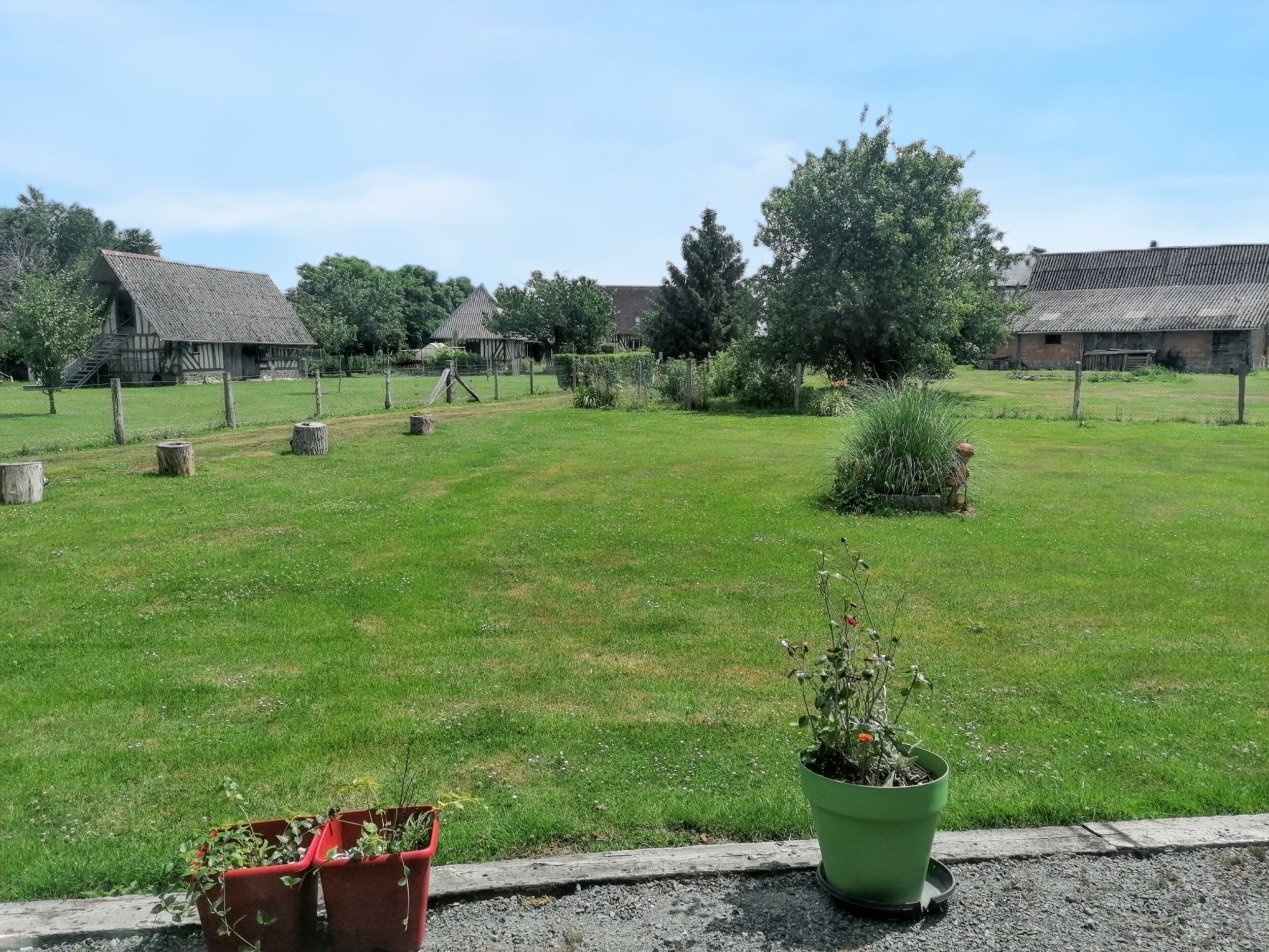 A grassy area with wooden structures and potted plants.